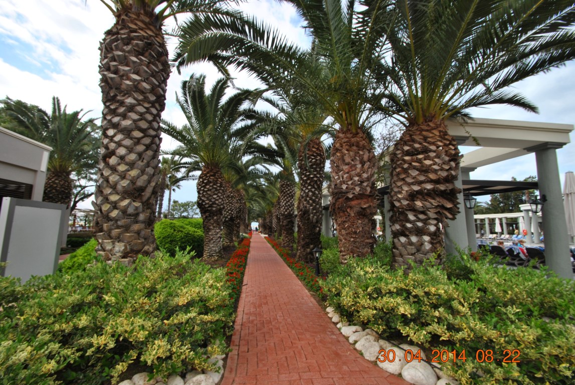 imagini hotel CLUB ASTERIA BELEK